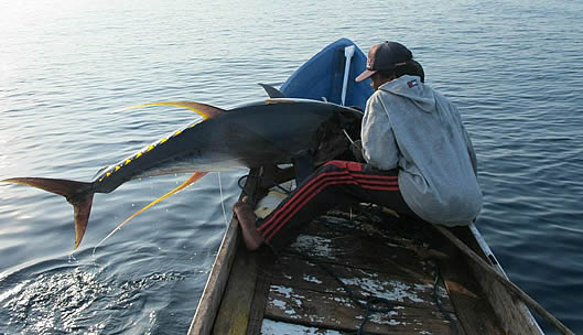 Fisheries Consultants - Aquatic management image